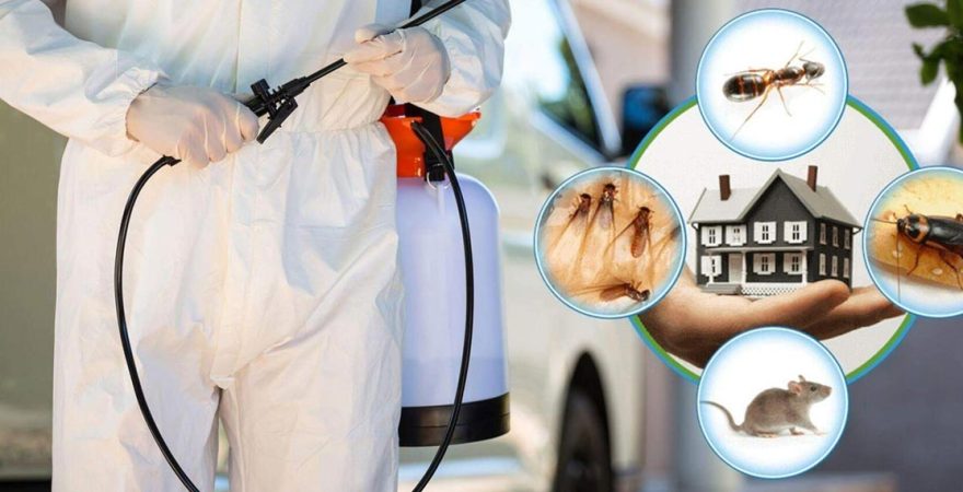 Nergiz Böcek İlaçlama