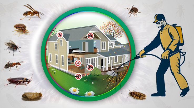 Nergiz Böcek İlaçlama