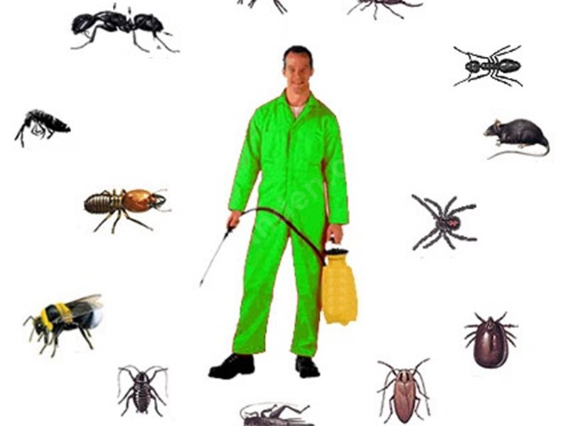 Nergiz Böcek İlaçlama